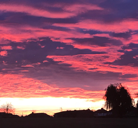 pink dawn over fields of village